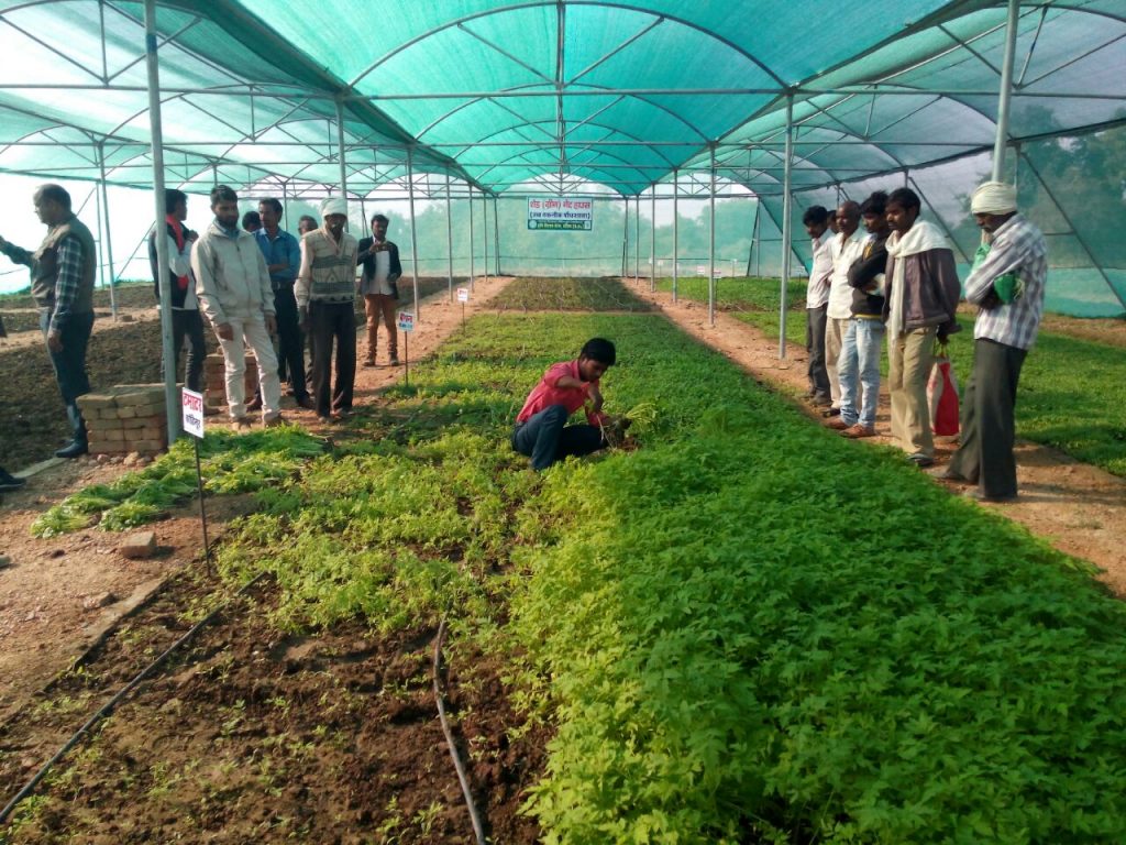 Enabling farmers to adapt agri-technologies to local contexts
