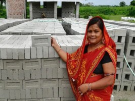 Greening the Brick Sector in India