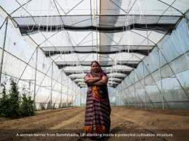 Making the Village Work: Integrated Development in Practice From the Editor’s Desk