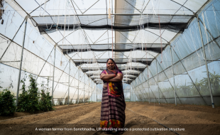 Making the Village Work: Integrated Development in Practice From the Editor’s Desk