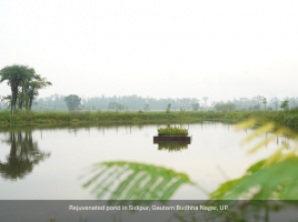 Where Water Begins: Rethinking Resilience Through Nature